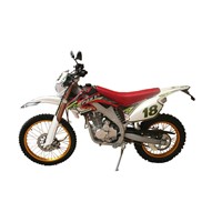 Strong and Vigorous 250cc dirt bike CD110-HJ