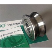 China bearing LV201ZZ Guide roller bearing