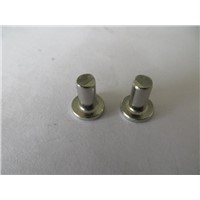 China stainless steel flat head Solid rivets