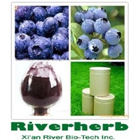 Bilberry extract of 25%Anthocyanidins