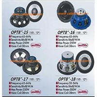 Auto speaker