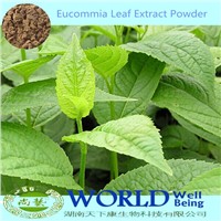 Factory Chlorogenic Acid Eucommia Leaf Extract/Eucommia Extract Powder/Eucommia Leaf Extract
