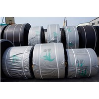 Chemical resistant nylon conveyor belt