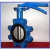Double flanged double eccentric butterfly valve