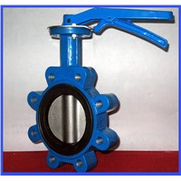 Double flanged double eccentric butterfly valve