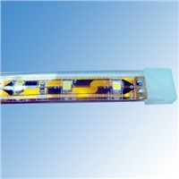 IP68 SMD3528 DC12/24V LED Flexible Ribbon Strips