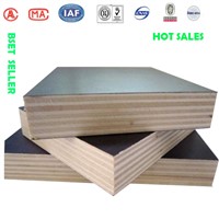 GIGA 18mm film faced  plywood construction timber