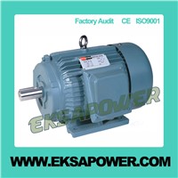 Y series three phase induction  electric motor
