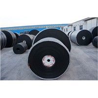 Industrial chemical resistant conveyor belt