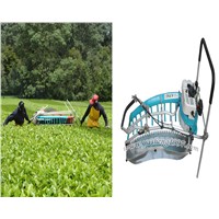 Tea Leaves Picker Two-man Operated Gasoline Engine