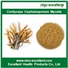 Cordyceps Cephalosporium Mycelia