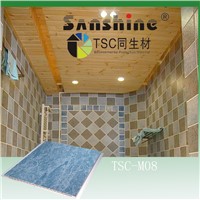 ISO9001 sunshine pvc interior decorative wall panels