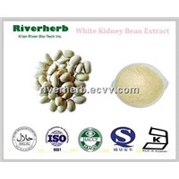 Natural White kidney bean extract for weight-loss
