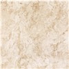 600x600 Ceramic Polished Style Selections Tile