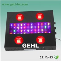 China 600w full spectrum COB Noah dimmable led indoor plant grow light