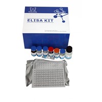 Human Glycated Albumin(GA) ELISA Kit