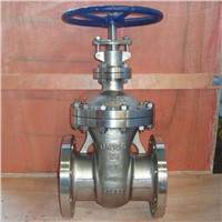 Nickel Globe valve