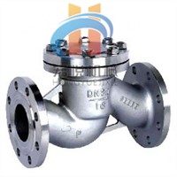 brass swing check valve/ cast iron check valve / check valve*