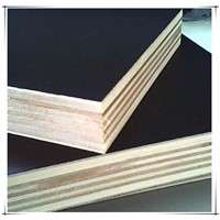Hardwood Construction Film Faced Plywood Manufacturer