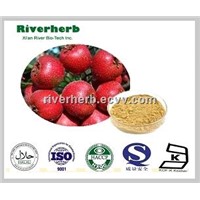 Natural Hawthorn Fruit extract with 5% Flavones