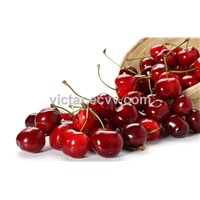 Food and beverage additive Cherry extract