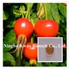 High quality Chinese Rose Hip Extract, Polyphenols 10%, Vitamin C 5%~20%