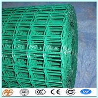 PVC Coated or Power Coating Waving Euro Wire Mesh Holland Fence