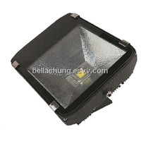 CE Rohs approved IP65 COB high power 100W RGB LED Outdoor Floodlight