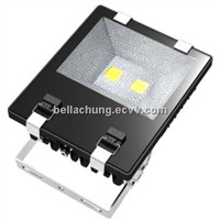 High quality EPIstar chips Waterproof Outdoor 100W park led flood lamp