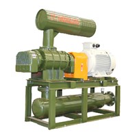 Roots blower for waste water treatment system