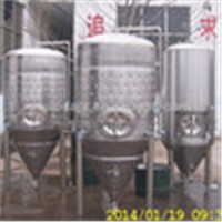 Stainless Steel Cone Fermenter