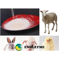 ENOLZYME Phytase 10000