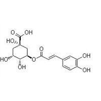 Chlorogenic acid Cas No.: 327-97-9 HPLC>98%