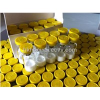 High Purity HGH GHRP-2 with Wholesale Price and Top Quality