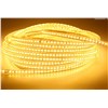 Yellow LED Strip Lights SMD5050 Waterproof IP65 Flexible led rope light curtain light