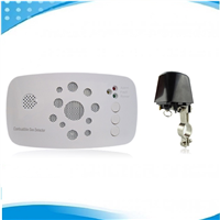 Gas Detector with Voice Alarm &amp;amp; Digital Display