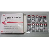 HCG 5000iu for bodybuilding HCG Top qualiy supplier