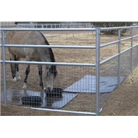 Galvanized pipe horse gate for horse and pasture