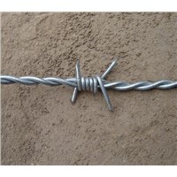 Barbed wire double strand