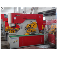 QC35Y series punching and cutting machine