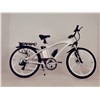 2 wheels electric vehicle for teenagers