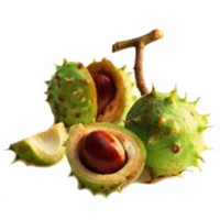 Natural Aesculus Hippocastanum seed extract Aescin 90% Aescin 20%, 50% 90% and 95% HPLC