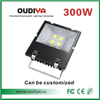 300w waterproof flood light bridgelux cob outdoor led flood light