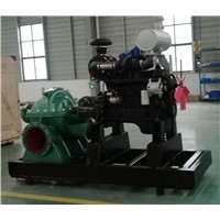 Double Suction Water Pump for Farm Irrigation