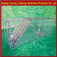 High Quality Pest Control Folding Live Animal Cage Trap for Fox Rabbit Squirrel Cat