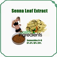 senna leaf herbal extract powder for slim body medicine
