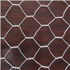 13mm mesh hot dipped galvanized cheap hexagonal wire mesh