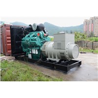 Cummins Diesel Generator with Stainless Soundproof Canopy Stamford Alternator Three phase