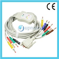 Nihon Kohden 10 lead EKG cable with leadwires