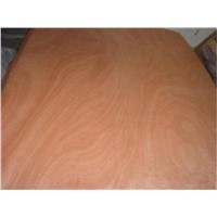 Poplar core veneer for plywood use